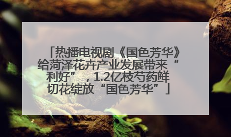 热播电视剧《国色芳华》给菏泽花卉产业发展带来“利好”，1.2亿枝芍药鲜切花绽放“国色芳华”