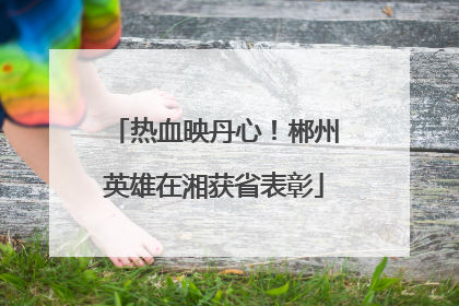 热血映丹心！郴州英雄在湘获省表彰