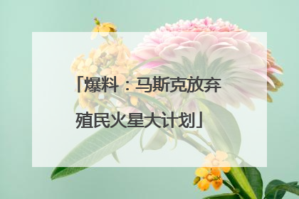 爆料：马斯克放弃殖民火星大计划