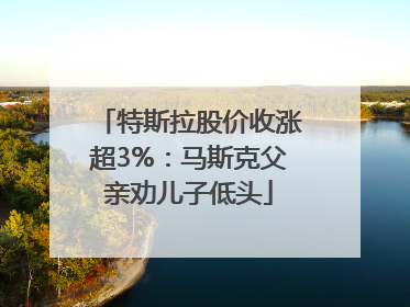 特斯拉股价收涨超3%：马斯克父亲劝儿子低头