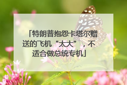 特朗普抱怨卡塔尔赠送的飞机“太大”，不适合做总统专机