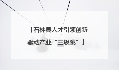 石林县人才引领创新驱动产业“三级跳”