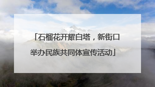 石榴花开耀白塔，新街口举办民族共同体宣传活动