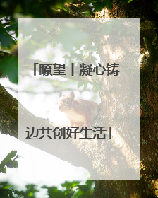 瞭望丨凝心铸边共创好生活