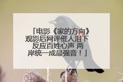 电影《家的方向》观影后网评催人泪下 反应百姓心声 两岸统一成最强音！