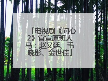电视剧《问心2》官宣原班人马：赵又廷、毛晓彤、金世佳