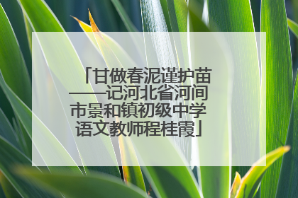 甘做春泥谨护苗——记河北省河间市景和镇初级中学语文教师程桂霞