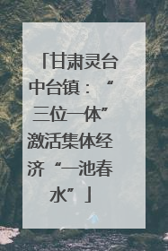 甘肃灵台中台镇：“三位一体”激活集体经济“一池春水”