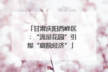 甘肃庆阳西峰区：“流量花园”引爆“庭院经济”