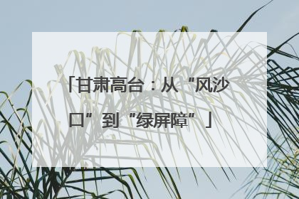 甘肃高台：从“风沙口”到“绿屏障”