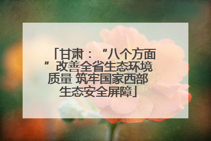甘肃：“八个方面”改善全省生态环境质量 筑牢国家西部生态安全屏障