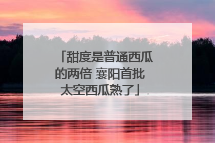 甜度是普通西瓜的两倍 襄阳首批太空西瓜熟了