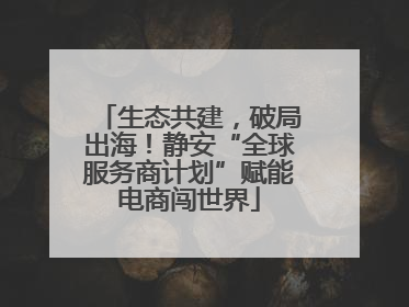 生态共建，破局出海！静安“全球服务商计划”赋能电商闯世界