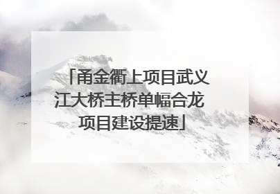 甬金衢上项目武义江大桥主桥单幅合龙 项目建设提速