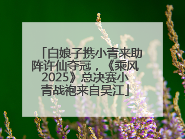 白娘子携小青来助阵许仙夺冠，《乘风2025》总决赛小青战袍来自吴江