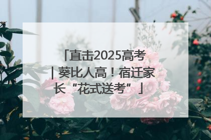 直击2025高考｜葵比人高！宿迁家长“花式送考”