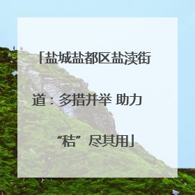 盐城盐都区盐渎街道：多措并举 助力“秸”尽其用