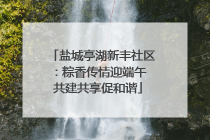 盐城亭湖新丰社区：粽香传情迎端午 共建共享促和谐
