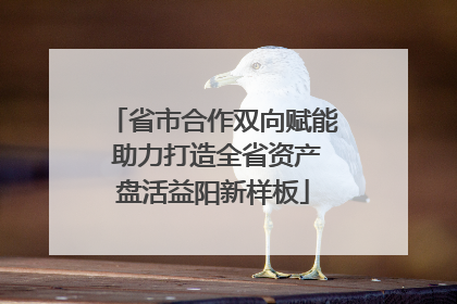 省市合作双向赋能 助力打造全省资产盘活益阳新样板