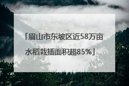眉山市东坡区近58万亩水稻栽插面积超85%