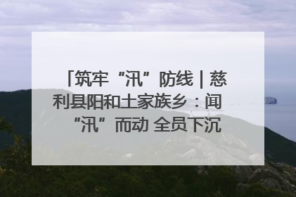 筑牢“汛”防线｜慈利县阳和土家族乡：闻“汛”而动 全员下沉筑牢防汛“安全堤”