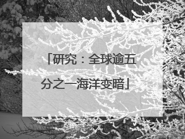 研究：全球逾五分之一海洋变暗