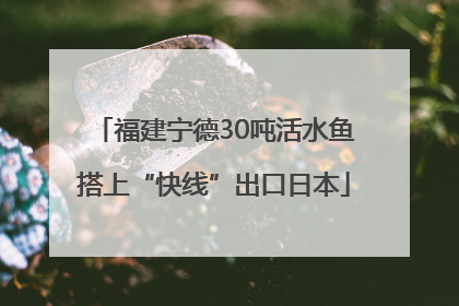 福建宁德30吨活水鱼搭上“快线”出口日本