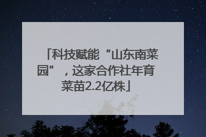 科技赋能“山东南菜园”，这家合作社年育菜苗2.2亿株