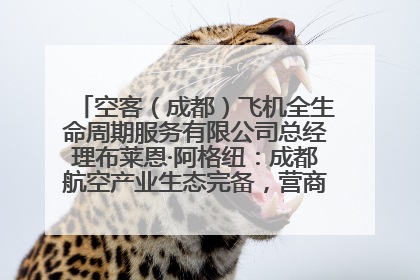 空客（成都）飞机全生命周期服务有限公司总经理布莱恩·阿格纽：成都航空产业生态完备，营商环境优势显著