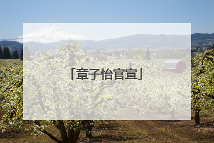 章子怡官宣