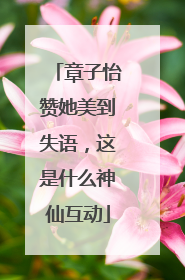 章子怡赞她美到失语，这是什么神仙互动