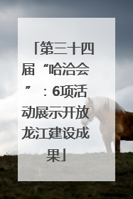 第三十四届“哈洽会”：6项活动展示开放龙江建设成果