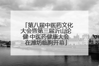 第八届中医药文化大会暨第三届沂山论健·中医药健康大会在潍坊临朐开幕