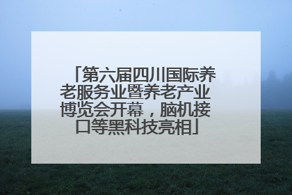 第六届四川国际养老服务业暨养老产业博览会开幕，脑机接口等黑科技亮相