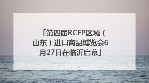 第四届RCEP区域（山东）进口商品博览会6月27日在临沂启幕