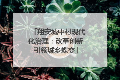 翔安城中村现代化治理：改革创新引领城乡蝶变