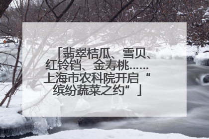 翡翠桔瓜、雪贝、红铃铛、金寿桃……上海市农科院开启“缤纷蔬菜之约”