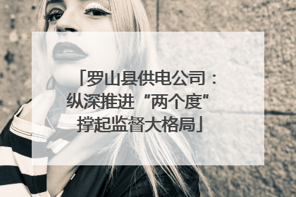 罗山县供电公司：纵深推进“两个度” 撑起监督大格局