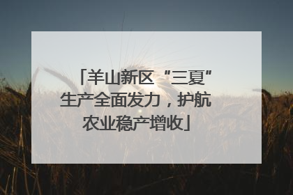 羊山新区“三夏”生产全面发力，护航农业稳产增收
