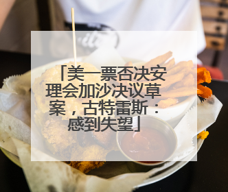 美一票否决安理会加沙决议草案，古特雷斯：感到失望