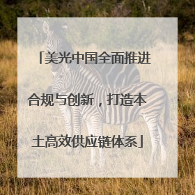 美光中国全面推进合规与创新，打造本土高效供应链体系