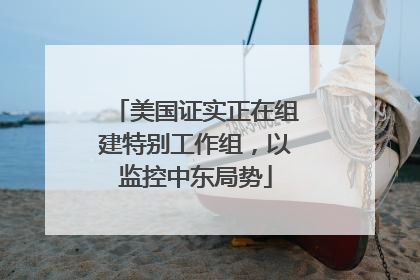 美国证实正在组建特别工作组，以监控中东局势