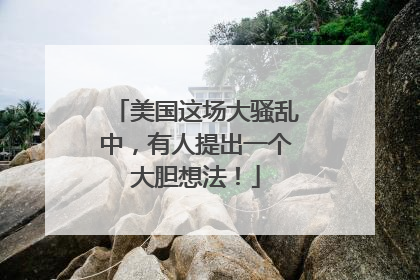 美国这场大骚乱中，有人提出一个大胆想法！