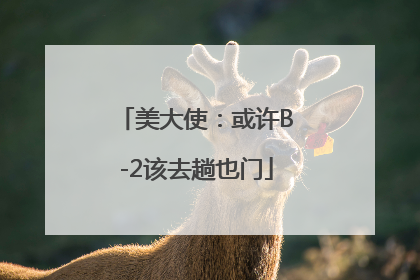 美大使：或许B-2该去趟也门