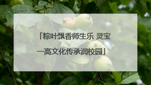 粽叶飘香师生乐 灵宝一高文化传承润校园