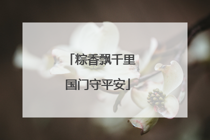 粽香飘千里 国门守平安