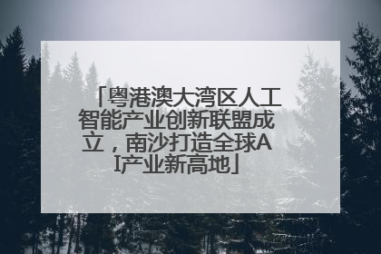 粤港澳大湾区人工智能产业创新联盟成立，南沙打造全球AI产业新高地
