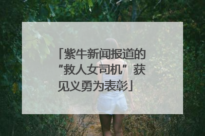 紫牛新闻报道的“救人女司机”获见义勇为表彰