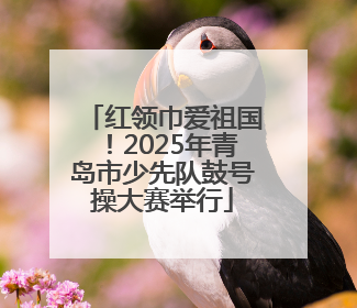 红领巾爱祖国！2025年青岛市少先队鼓号操大赛举行