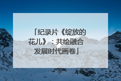 纪录片《绽放的花儿》：共绘融合发展时代画卷